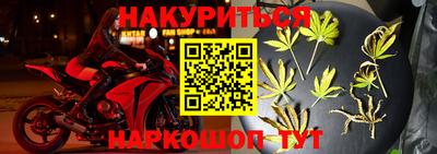 сатива Кунгур
