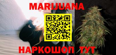 сатива Кунгур