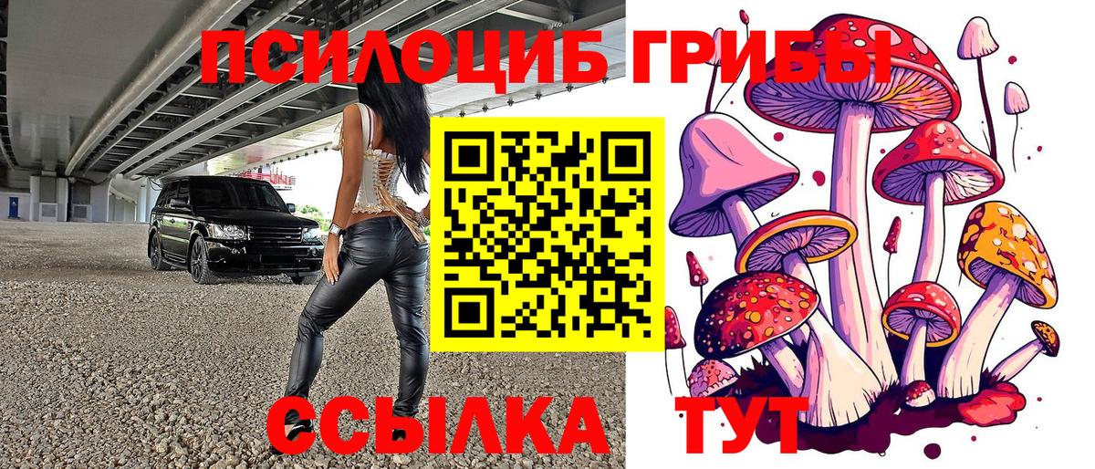 Галлюциногенные грибы ЛСД Карпинск