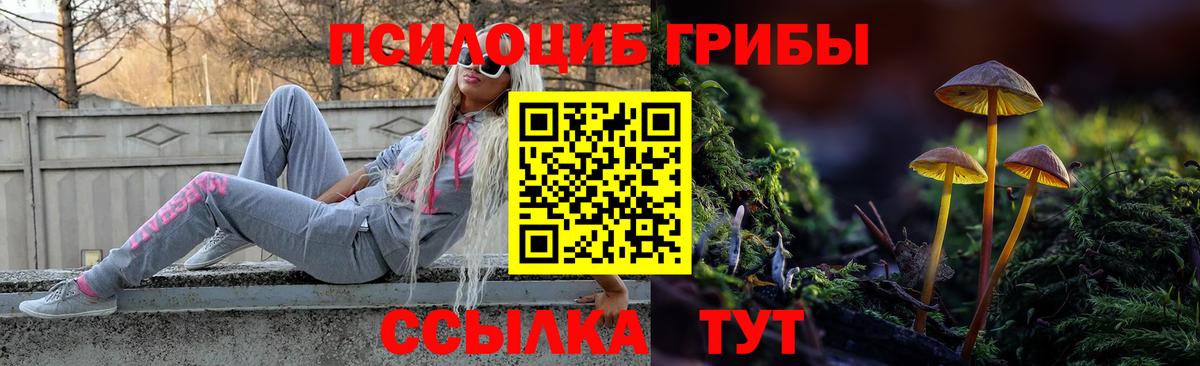 Карпинск  Галлюциногенные грибы Psilocybine cubensis  Вход с VPN 